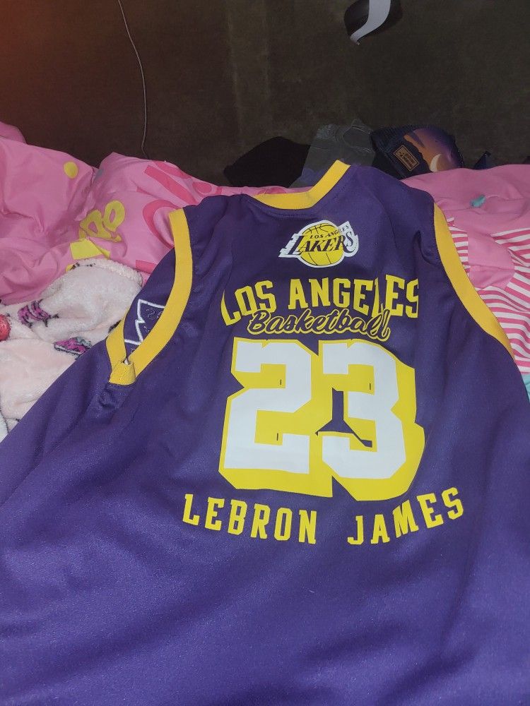Lakers Jerseys LeBron James With Shorts 