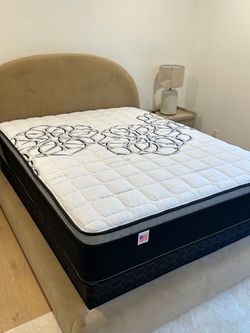 •  Elite Bamboo Luxe Queen 12” pillow top.      New mattress in a plastic sealed.     We offer same day delivery