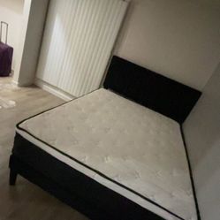 need gone asap Queen 14inch mattress pick up only!!