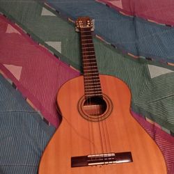 Conn Guitar Model C-100