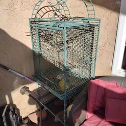 Bird Cage