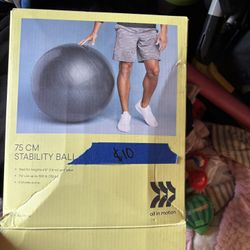 Stability ball New