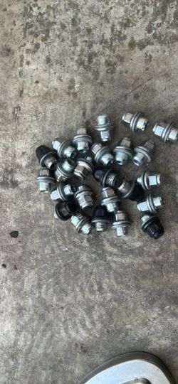 Lug Nuts 
