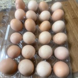 Fresh Eggs For Sale $ 6 For One dozen 
