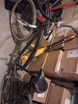 Cruiser Bike