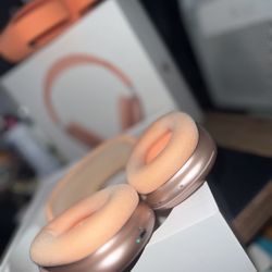Apple Head Phone 