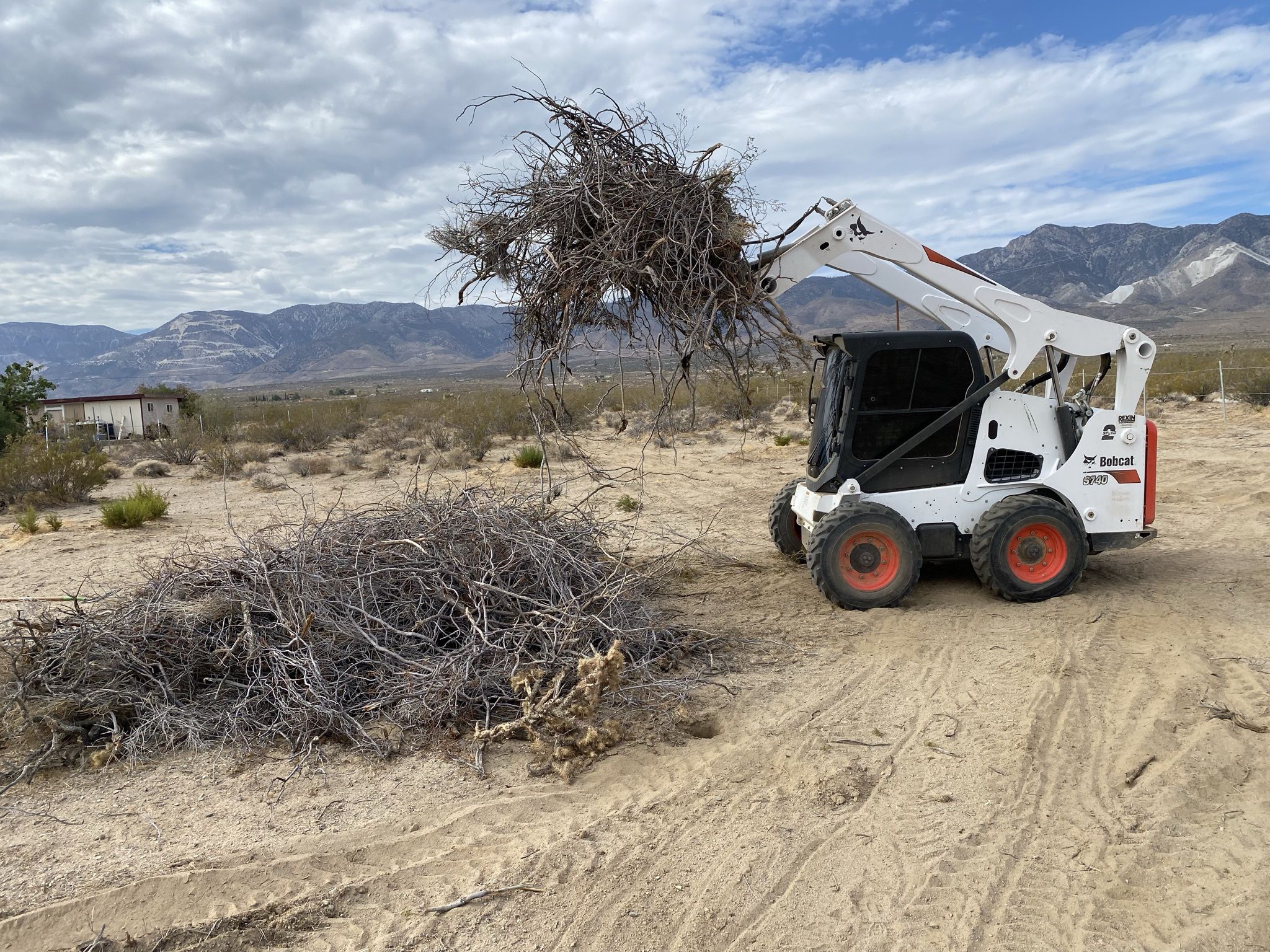 Bobcat 🚜