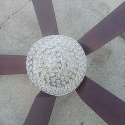 Ceiling fan with light