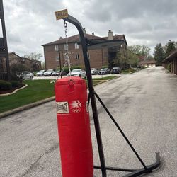 Everlast Punching Bag & Stand