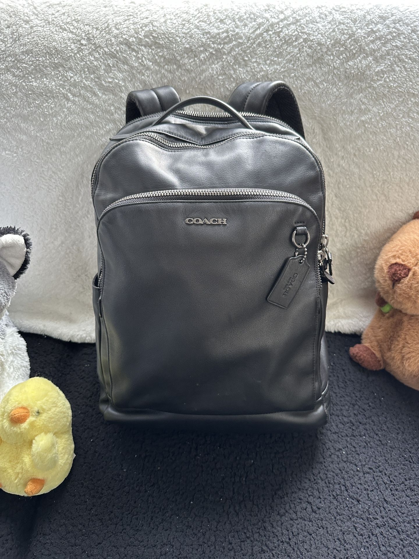 Coach Leather Backpack