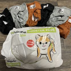 Pet Parents Washable Male & Female Dog Diaper