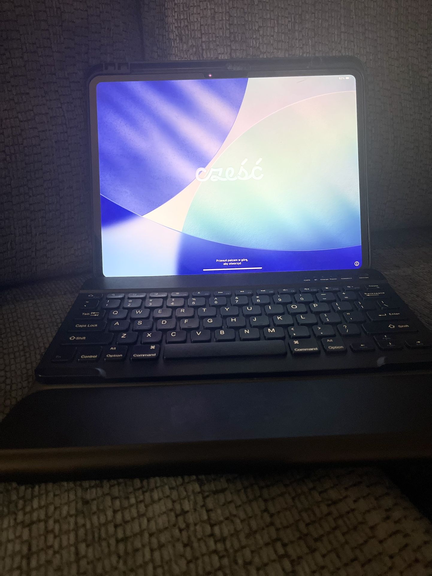 iPad Pro (M4) 13” 256 GB w/ Keyboard Case  carrier unlock/Wi-Fi