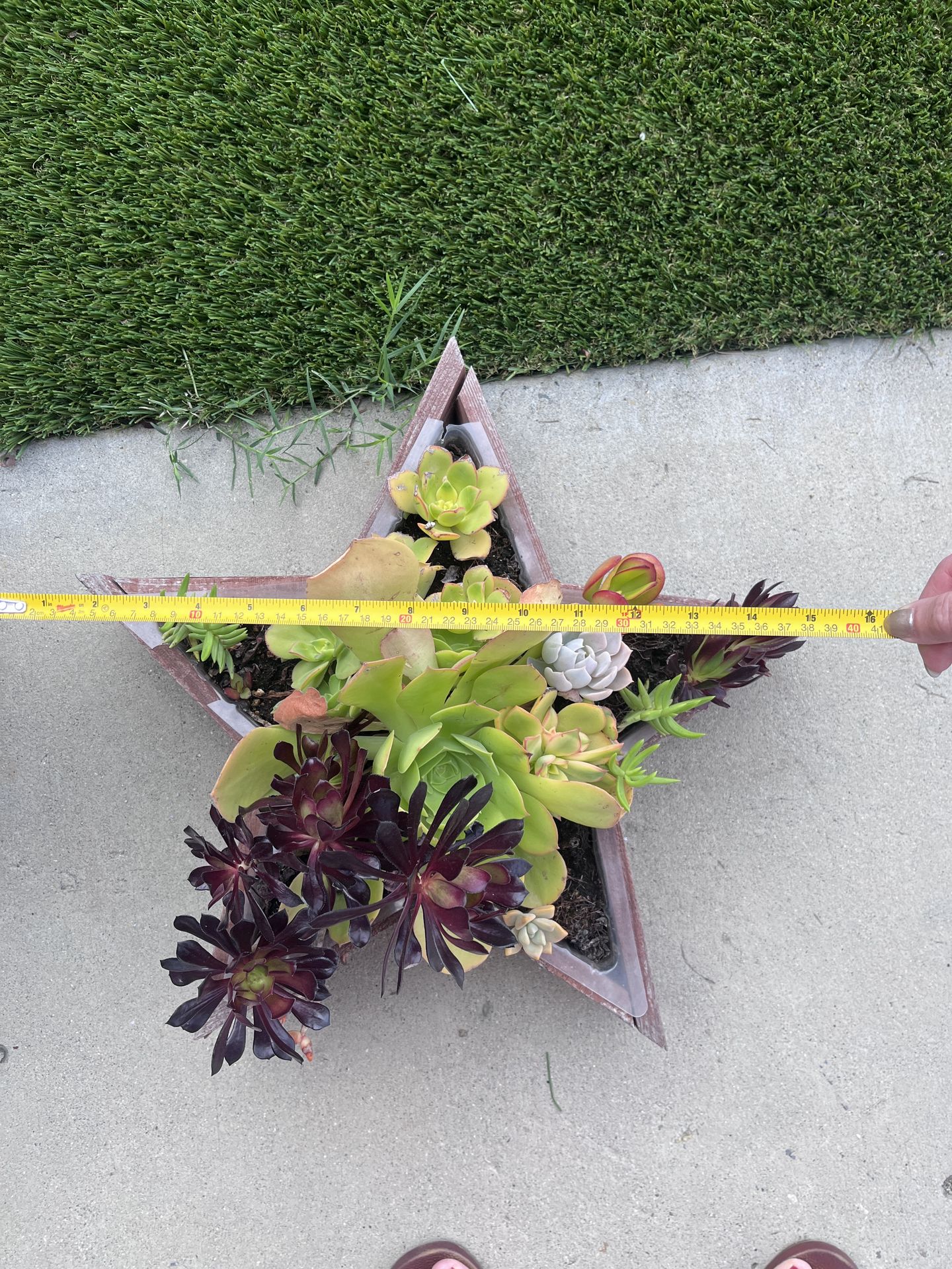 Large succulent planter