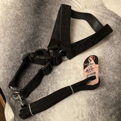 Dog Harness 