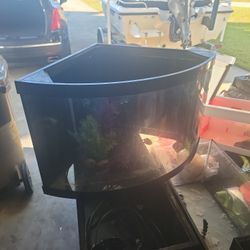 Corner Non Drilled Aqueon 54 Gallon