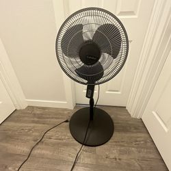 Lasko  Standings Fan 