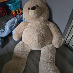 Big Teddy Bear