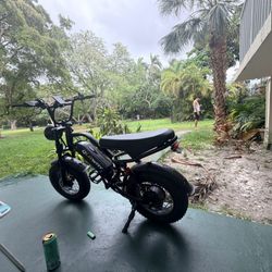 Brand New Ebike 75 Mile Range