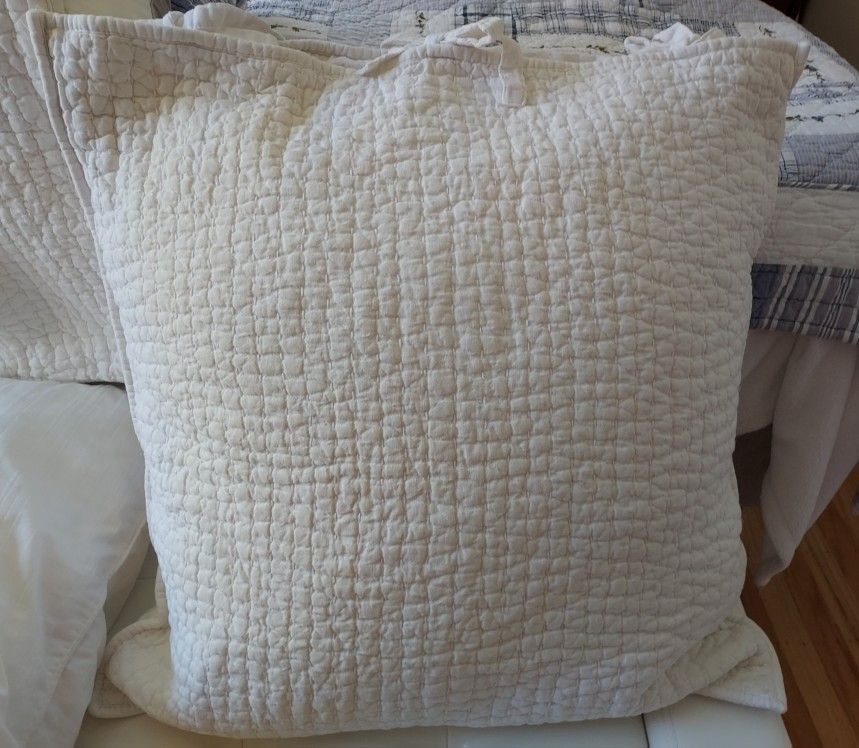 (2) 24x24 Pottery Barn Pillow Case & Pillows