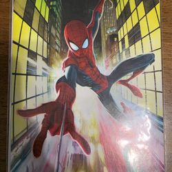 Spider-man Comics