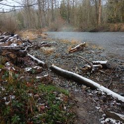 Property On Cedar River 