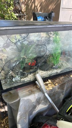 Small fish aquarium with accessories, ready for fish