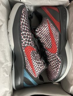 Kobe 6