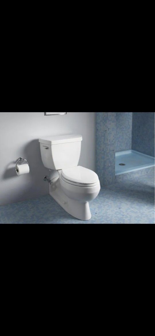 Barrington Elongated Toilet Bowl and tank in White