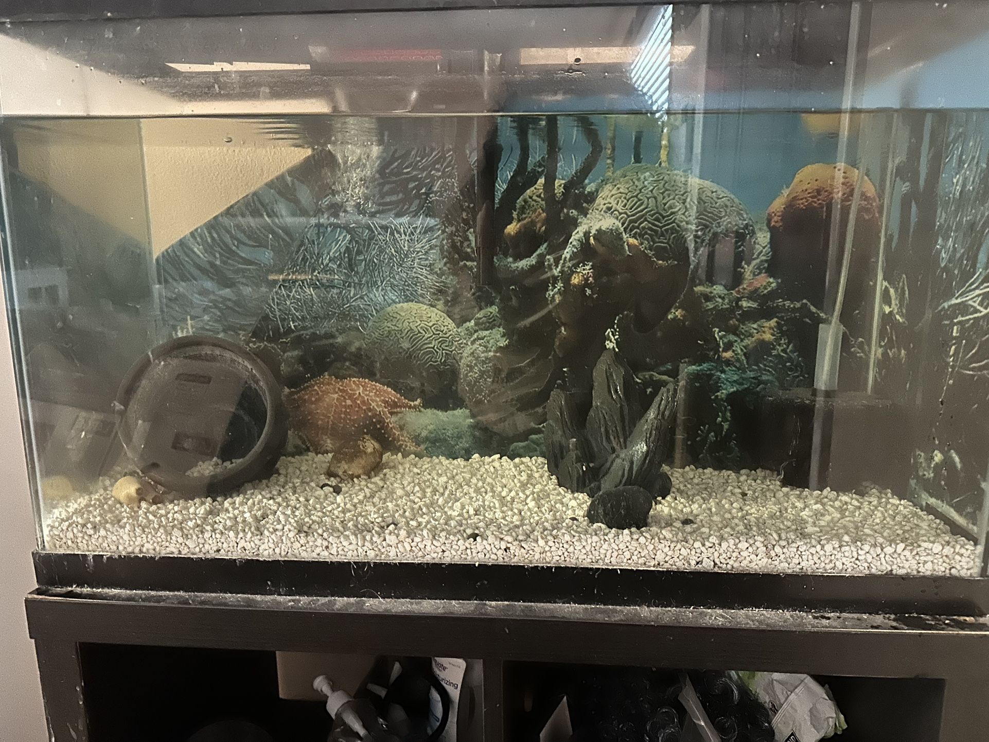 36 Gallon Aquarium