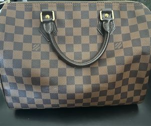 LOUIS VUITTON Damier Ebene Speedy 25