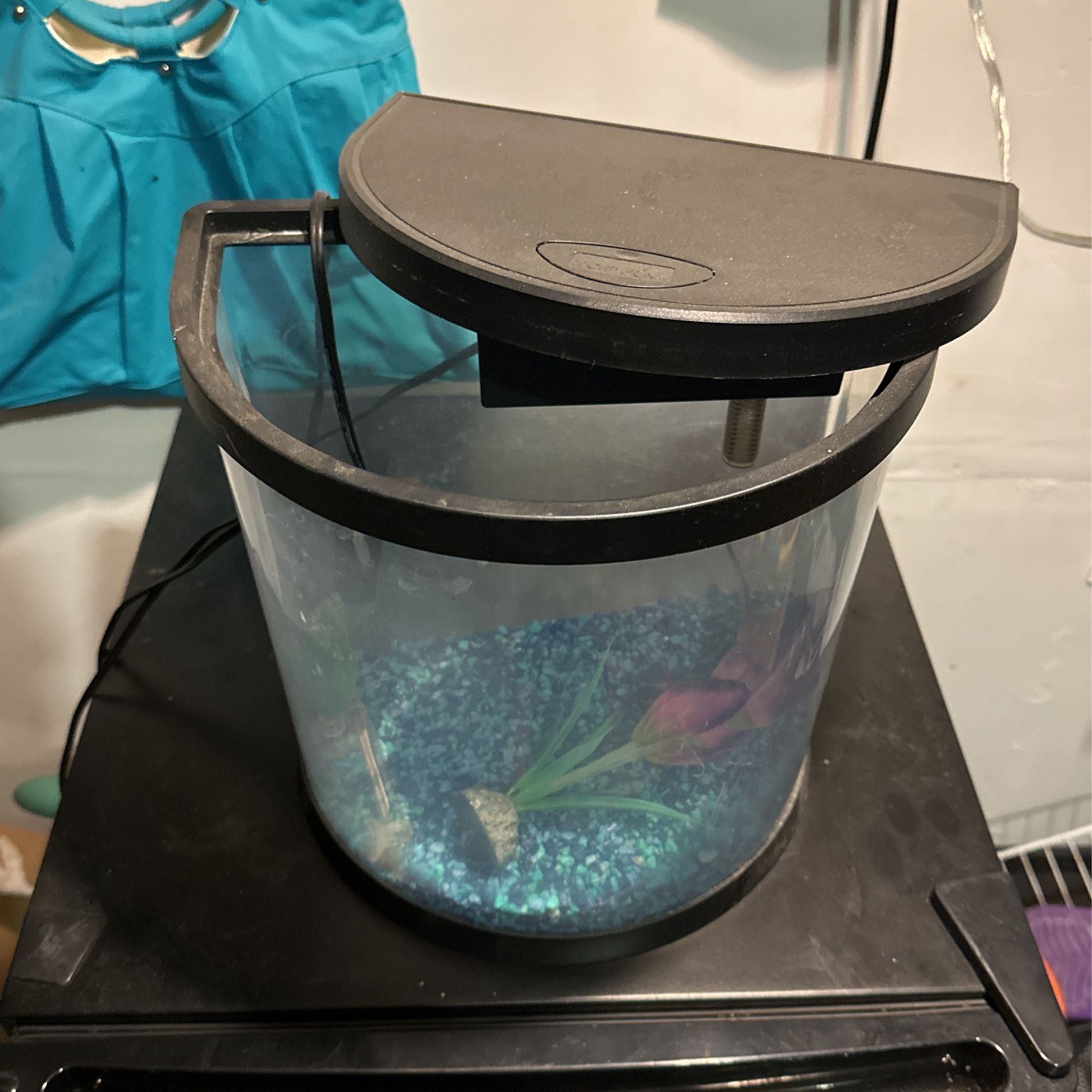 2 Gallon Fish Tank
