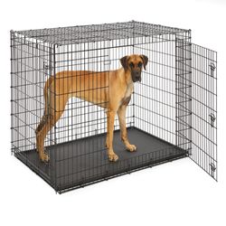 XXXL Dog Crate