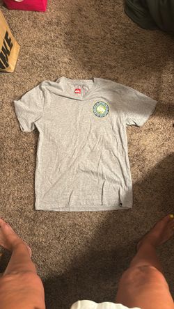Men’s Gray Quicksilver T-Shirt