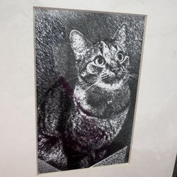 MAUREEN FARLEY WALL ART CAT ART DECOR