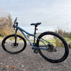 REI Mountain Bike – Excellent Condition
