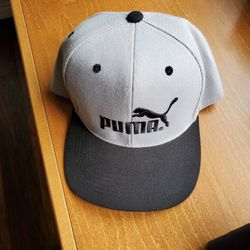 Puma Hat