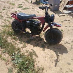 Coleman Trail Bike