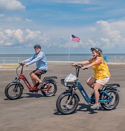 Ranger 3.0 Pro Folding E-bike 20"x4" Fat-tire 