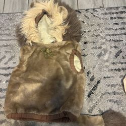 Kids Lion Costume 