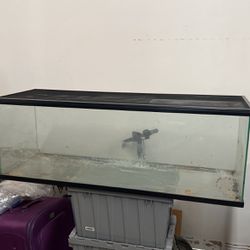 80 Gallon Fish Tank With Mesh Top 