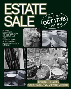 Estate Sale - normal heights