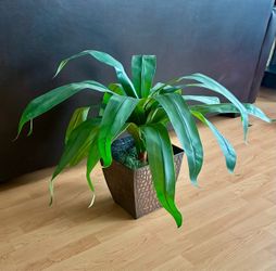28” Tall Artificial Dracaena Plant features vibrant green, sword-shaped leaves in a square black pot