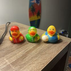 ‼️SPORTS DUCKS‼️