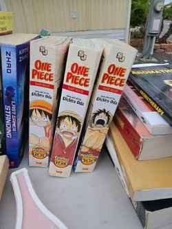 One piece book