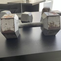 SOLO 30 Lbs Dumbbell 