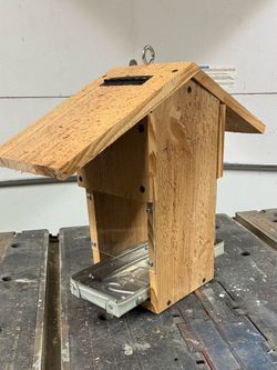 Bird Feeder