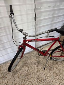 Boss cruiser bike 22.5