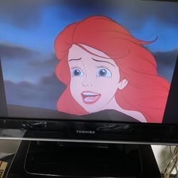 Toshiba 27 Inch Tv With Built in DVR