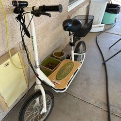 Razor Scooter Ecosmart electric
