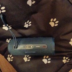 JBL Flip 6 Speaker